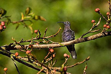 《剑星》官方发图庆祝销量破三百万！小姐姐飞吻惹人爱